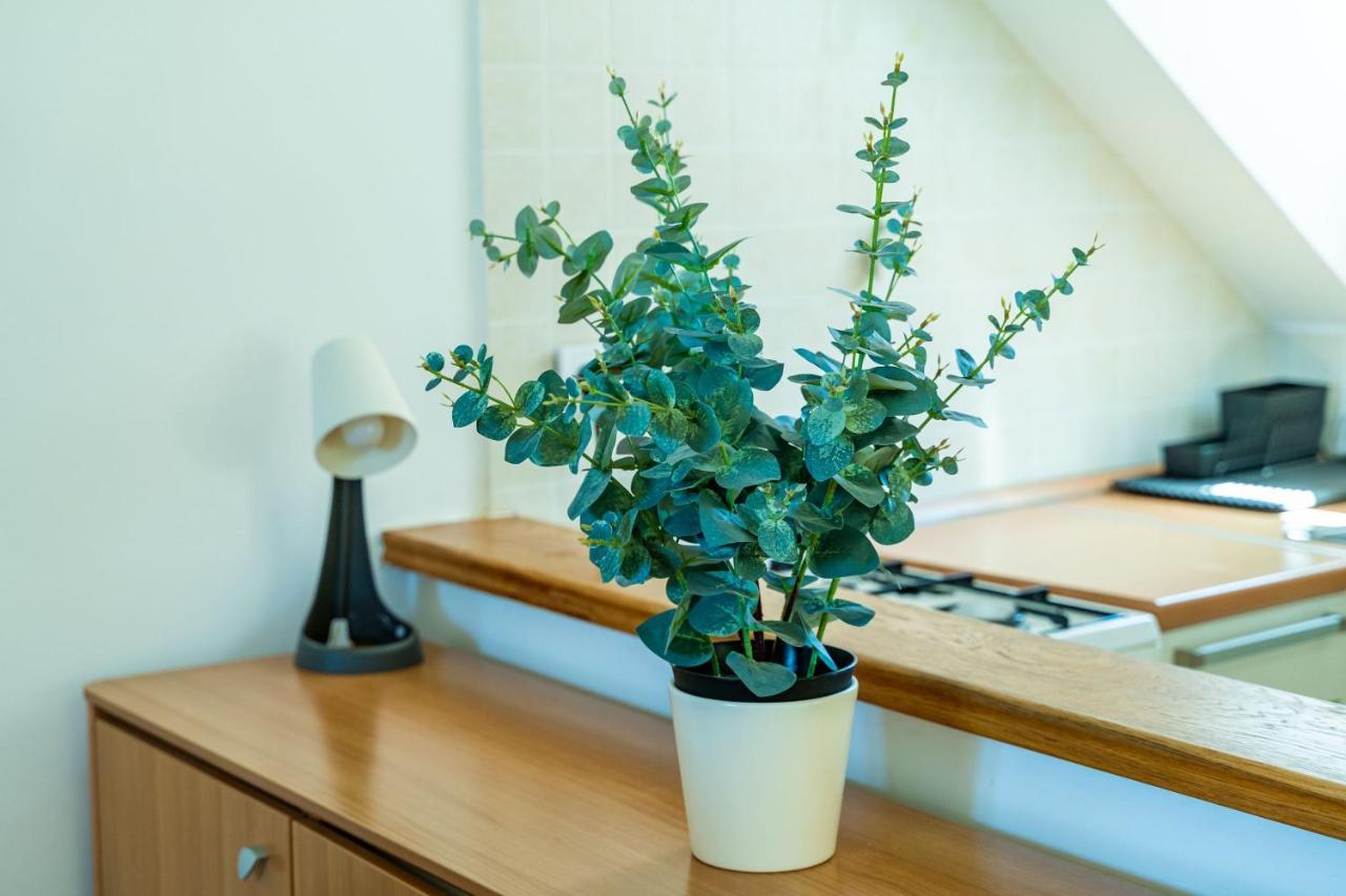 דוברובניק Foteza Apartments מראה חיצוני תמונה